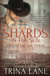 Shards In The Sun