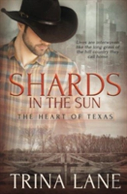 Bertrand.pt - Shards In The Sun
