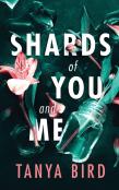 Shards Of You And Me
