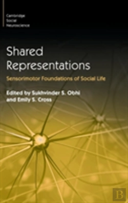 Bertrand.pt - Shared Representations
