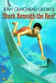 Shark Beneath The Reef