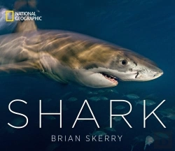 Bertrand.pt - Shark