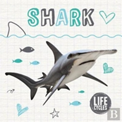 Bertrand.pt - Shark