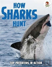 Shark! How Sharks Hunt