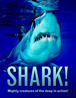 Bertrand.pt - Shark!