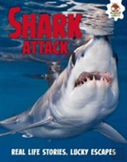 Bertrand.pt - Shark! Shark Attack