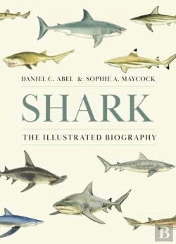 Bertrand.pt - Shark