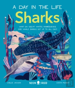 Bertrand.pt - Sharks (A Day In The Life)