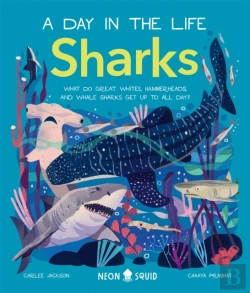 Bertrand.pt - Sharks (A Day In The Life)