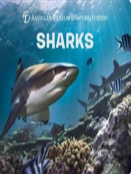 Sharks