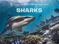 Bertrand.pt - Sharks