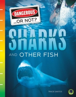 Bertrand.pt - Sharks And Other Fish