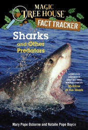 Sharks And Other Predators