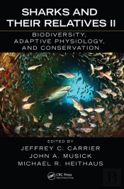 Sharks And Their Relatives Ii
