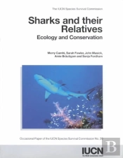 Sharks And Their Relatives