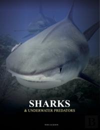 Sharks And Underwater Predators
