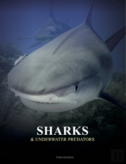 Bertrand.pt - Sharks And Underwater Predators