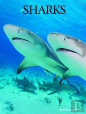 Sharks