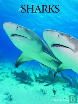 Bertrand.pt - Sharks
