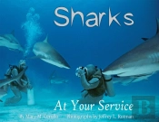 Sharks At Your Service