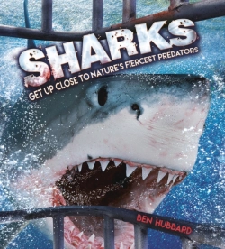 Bertrand.pt - Sharks