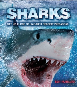 Bertrand.pt - Sharks