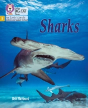 Sharks