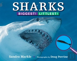 Bertrand.pt - Sharks: Biggest! Littlest!