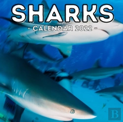Bertrand.pt - Sharks Calendar 2022