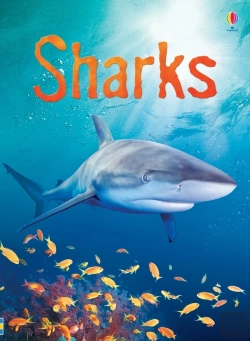 Bertrand.pt - Sharks