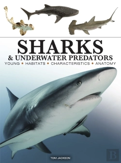 Bertrand.pt - Sharks & Underwater Predators