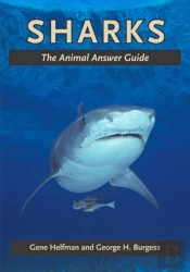 Sharks