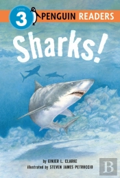 Sharks!