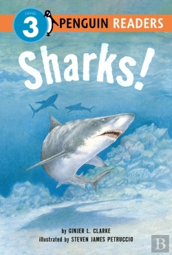 Bertrand.pt - Sharks!