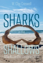 Sharks In The Shallows