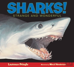 Bertrand.pt - Sharks!