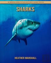 Sharks
