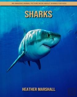 Bertrand.pt - Sharks