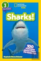 Sharks!