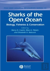 Sharks Of The Open Ocean