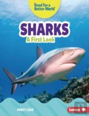 Sharks