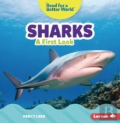 Sharks