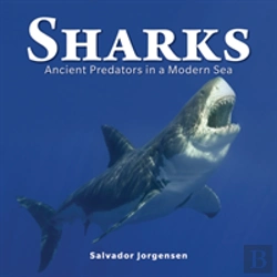 Bertrand.pt - Sharks
