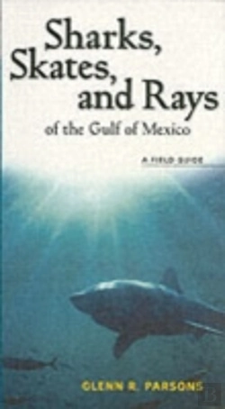 Bertrand.pt - Sharks, Skates, And Rays Of The Gulf Of Mexico