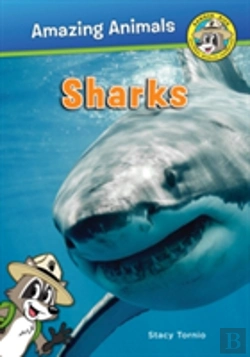 Bertrand.pt - Sharks