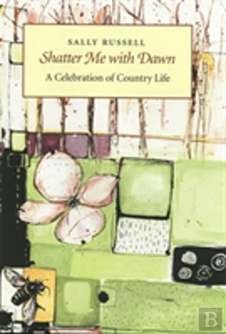Bertrand.pt - Shatter Me With Dawn