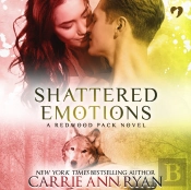 Shattered Emotions
