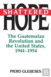 Shattered Hope