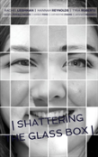 Shattering The Glass Box