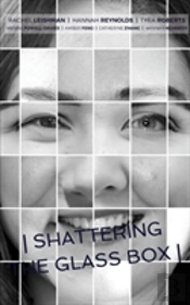 Shattering The Glass Box